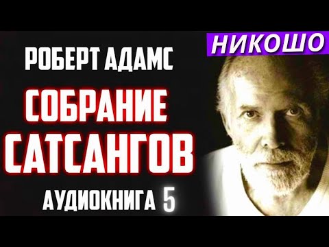 Видео: Роберт Адамс. Большое Собрание Сатсангов. Читает Никошо Ч5