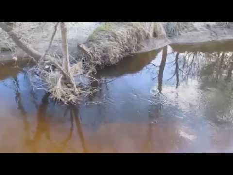 Видео: Стоянки щуки на малой реке(микро-речке)