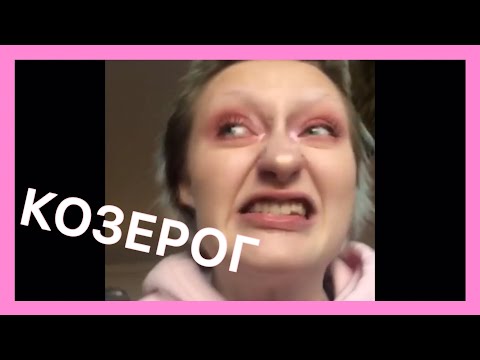 Видео: Даша Друже как знаки зодиака