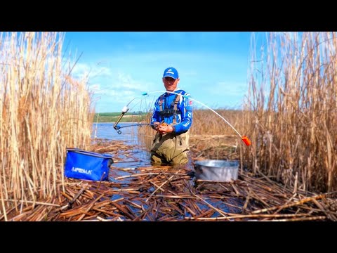 Видео: Відро КАРАСЯ на Боковий Кивок !!! Снасть яка завжди працює