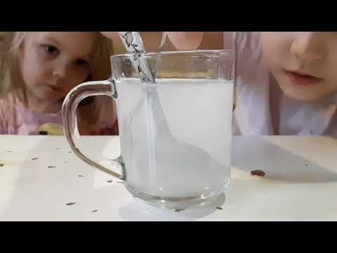 Видео: Опыт: можно ли в домашних условиях приготовить морскую воду? Окружающий мир