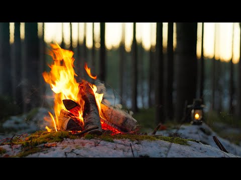 Видео: 4K 📺 Тихий лесной костер 🔥 Успокаивающие звуки природы и релаксации