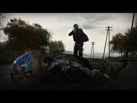 Видео: Борьба за выживание - DayZ