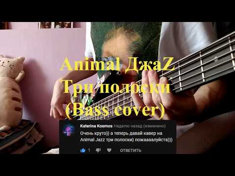 Видео: Animal ДжаZ - Три полоски (bass cover)