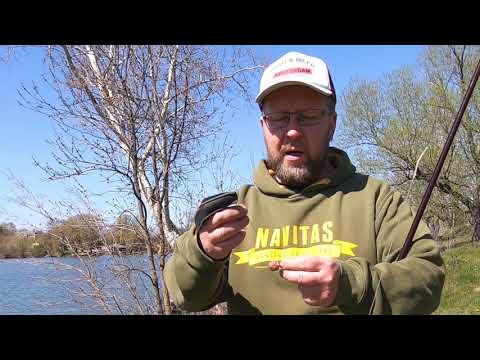 Видео: Одиночный выезд с любимой собакой на любимом водоёме!