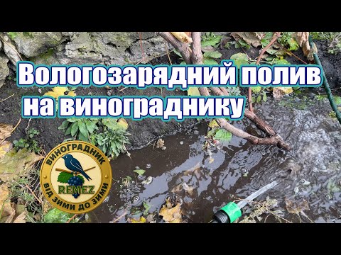 Видео: Вологозарядний полив винограду