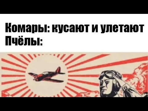 Видео: подборка исторических мемов для интеллектуалов полный угар 🤣🤣🤣