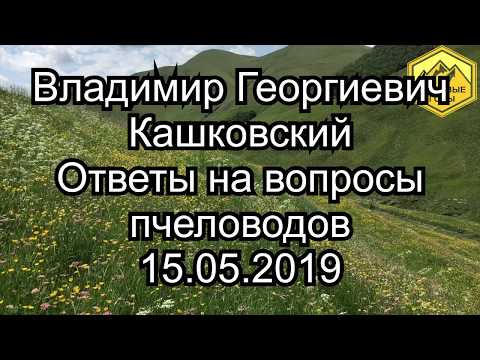 Видео: В. Г. Кашковский "Ответы на вопросы пчеловодов"15.05.2019