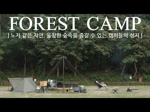 Видео: | Святое место для кемперов, где можно насладиться природой, густым лесом, похожим на нодж |