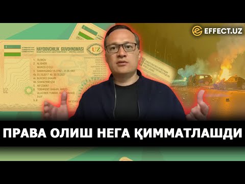 Видео: ТОШКЕНТДА ПРАВА ОЛИШ НАРХИ НЕГА ОСМОНГА ЧИҚИБ КЕТДИ – КОМИЛ АЛЛАМЖАНОВ ЖАВОБИ – EFFECT.UZ