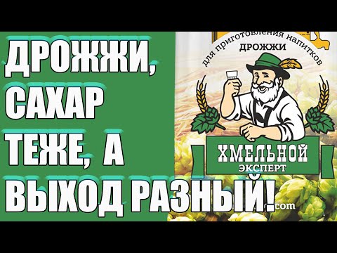 Видео: ДРОЖЖИ "ХМЕЛЬНОЙ ЭКСПЕРТ" ТЕСТ. ДРОЖЖИ И САХАР ОДНИ И ТЕ ЖЕ, А ВЫХОД РАЗНЫЙ! ПОЧЕМУ?