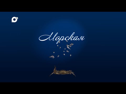 Видео: Морская / Лососи в океане / 05.05.22