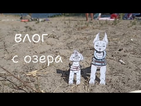 Видео: - влог с бумажными собаками -                               🤍 пошли с бумажными собаками на озеро 🏞️