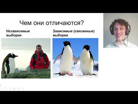 Видео: 08 02 Выбор статистического критерия