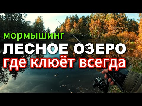 Видео: ПРОЩАЙ Illusion Slash! СЛОМАЛ.  Отличный Клёв на Лесном озере! #мормышинг #рыбалка #лесноеозеро