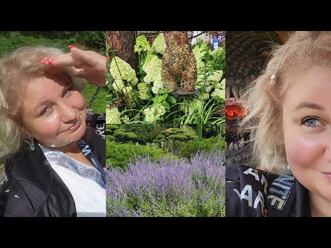 Видео: Ищу приключения: Сад Миядзаки, Ландшафтный дизайн с Нуля В парке Сокольники дерево за млн не нашла!