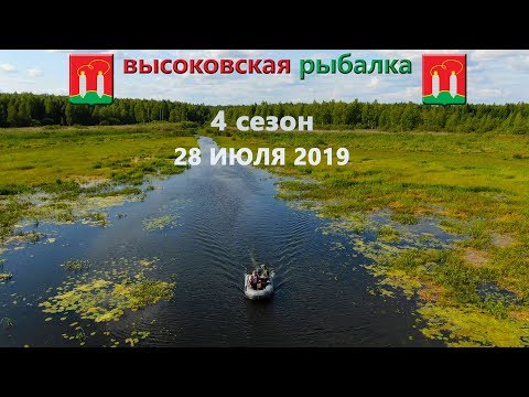 Видео: ловля щуки на колебалки летом 2019