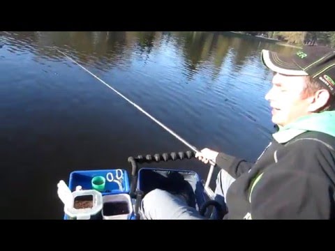 Видео: Семинар Алексея Демнера. Штекерная удочка.