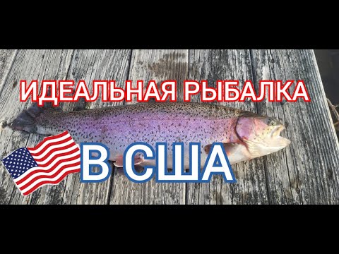 Видео: Идеальная рыбалка в США. Первые трофеи.