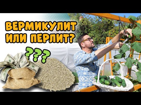 Видео: Вермикулит или перлит, что лучше? Сколько стоит посадить огурцы?