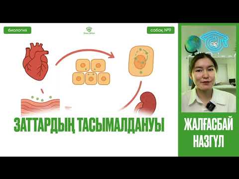 Видео: №9.1 Биология / ҰБТ / НҰСҚА ТАЛДАУ  Қоректену. Қозғалыс