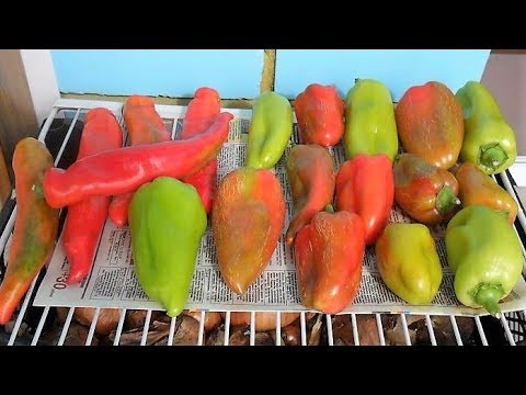 Видео: Как сохранить свежие плоды перцев на зиму