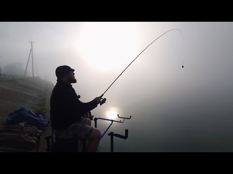 Видео: Туманное утро в Солнечногорске. Рыбалка на озере Сенеж