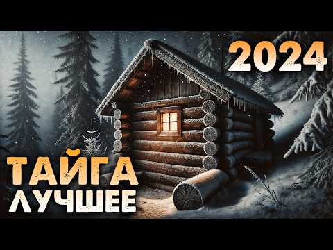 Видео: ЛУЧШИЕ ТАЁЖНЫЕ ИСТОРИИ ЗА 2024 ГОД