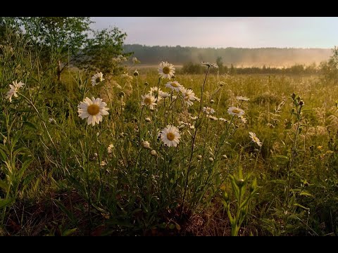 Видео: "В капле слезы" Авторская песня Ю. Старцев