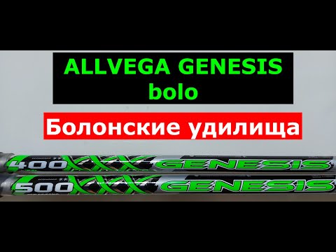 Видео: ALLVEGA GENESIS bolo - БОЛОНСКИЕ удилища. АЛЛВЕГА ДЖИНЕЗИС боло. Обзор болонских удилищ ALLVEGA