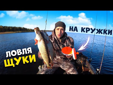 Видео: Рыбалка на кружки в Страхолесье. Уха на острове Хильча.