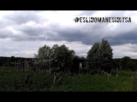 Видео: Новая Трёка. Если дома не сидится