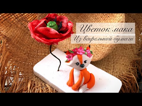 Видео: Мак из вафельной бумаги (пошагово)