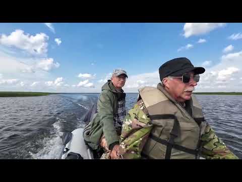 Видео: ИГИМ. 10 августа 2025 г.