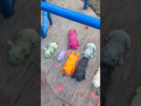 Видео: 2 часть прогулка сквиши собак