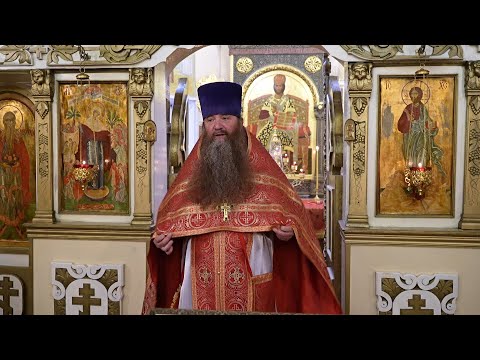 Видео: День памяти Собора святых Челябинской митрополии