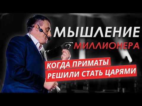 Видео: Мышление миллионера: Когда ПРИМАТЫ решили стать ЦАРЯМИ