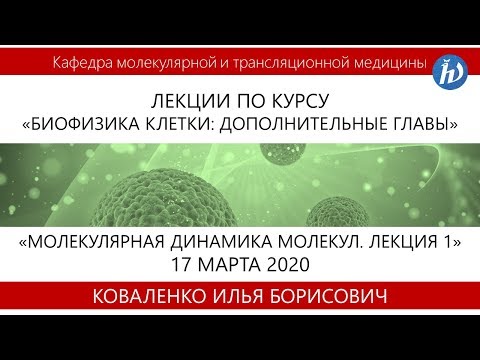 Видео: Молекулярная динамика молекул. Лекция 1