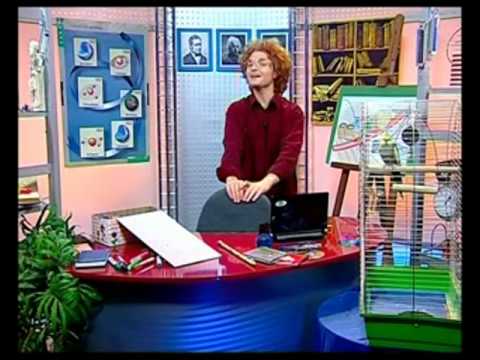 Видео: Физика 60. Движение тел — Академия занимательных наук