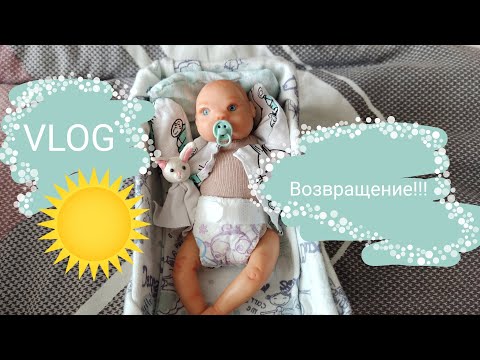 Видео: МЫ ВЕРНУЛИСЬ!///влог с мини Реборнами///прогулка