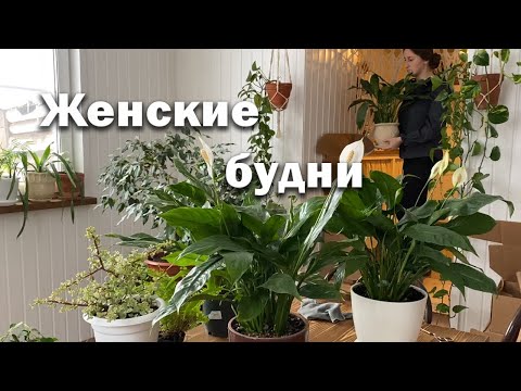 Видео: Наша простая жизнь в деревне // Женские будни