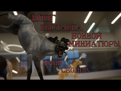 Видео: Влог шляйх: прогулка по выставки/мини сходка. Москва. 10.12.2023г.