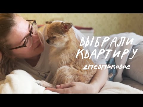 Видео: Простая жизнь | опять ветеринарка 🫠 | купили лестницу | ищем жильё