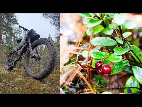 Видео: Петушки - Павловский посад