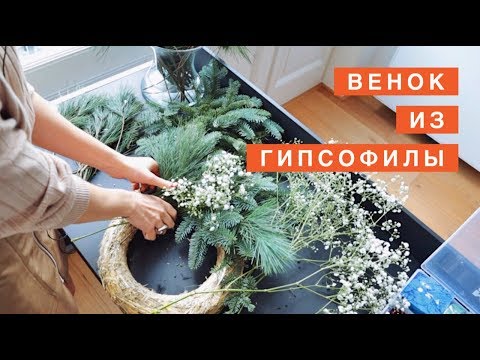 Видео: Рождественский ВЕНОК из гипсофилы. Новогодний венок для любителей минимализма