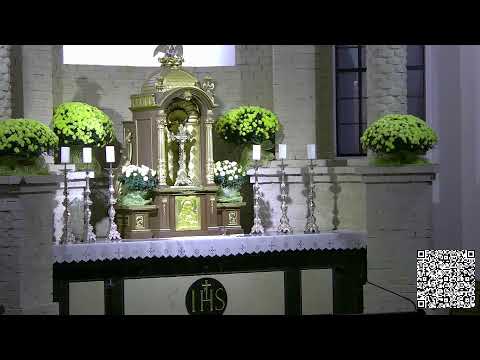 Видео: Адарацыя 23.00