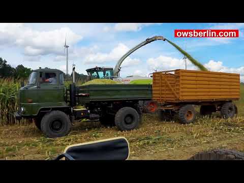Видео: Retro Vintage Truck Corn Harvest | Maisernte mit IFA L60 | Уборка Кукурузы с ИФА Л60