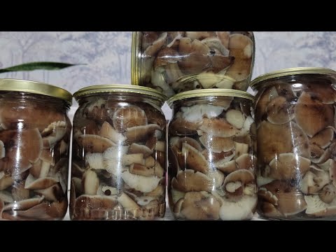 Видео: Один из любимых рецептов. Маринованные ОПЯТА.