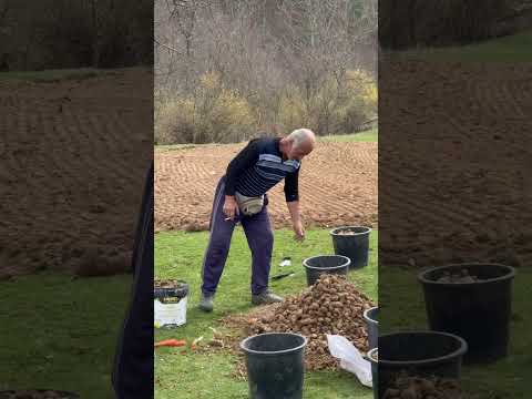 Видео: 16 март 2025 г.