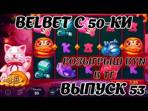 Видео: belbet с 50 рублей! Денежный кот 53 ! Розыгрыш 200 byn в ТГ канале!